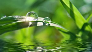 Nước tinh khiết Aquawater